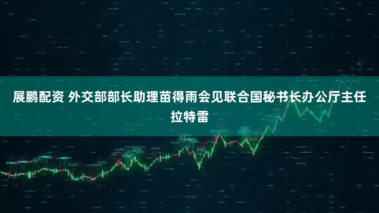 展鹏配资 外交部部长助理苗得雨会见联合国秘书长办公厅主任拉特雷