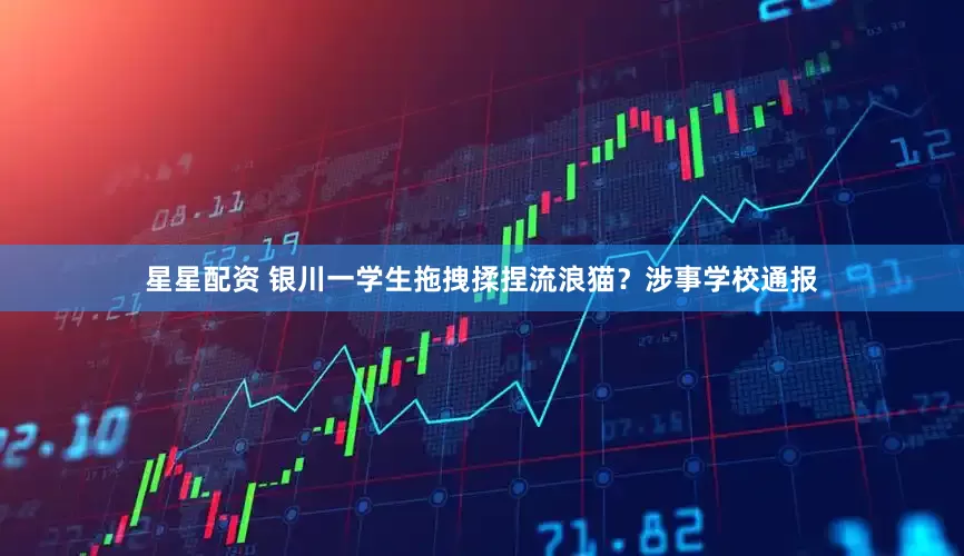 星星配资 银川一学生拖拽揉捏流浪猫？涉事学校通报